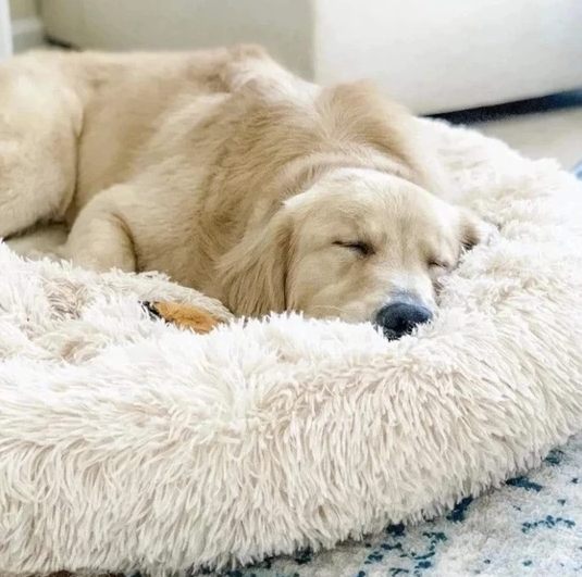 Dog Beds by Woof